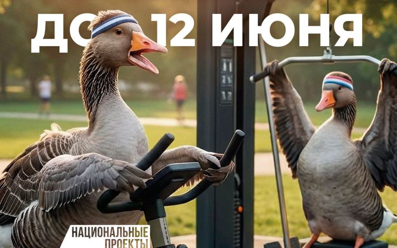 Начинается информационная кампания по "Всероссийскому голосованию за объекты благоустройства" (голосование продлится с 21 апреля по 12 июня)