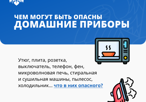 Чем могут быть опасны домашние приборы(12+)